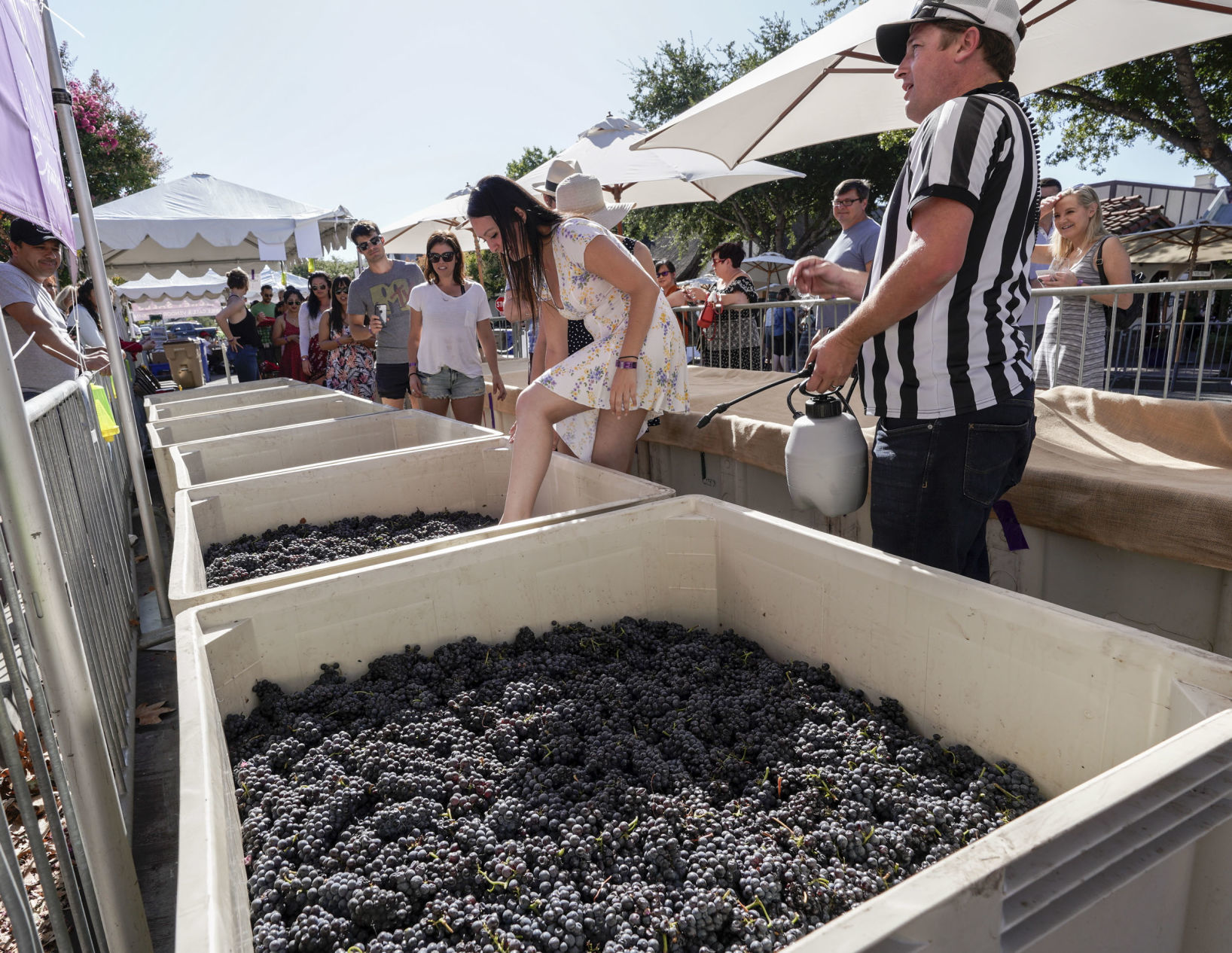 101919 Grape Stomp 08.jpg